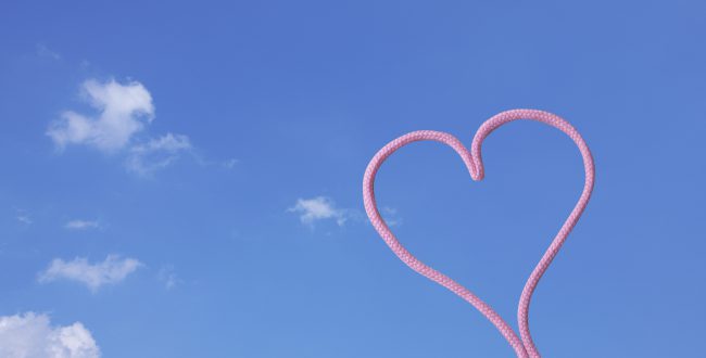 永住申請と更新申請